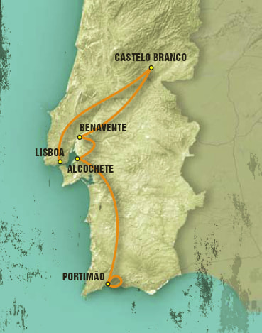 篠塚建次郎 2008年の活動