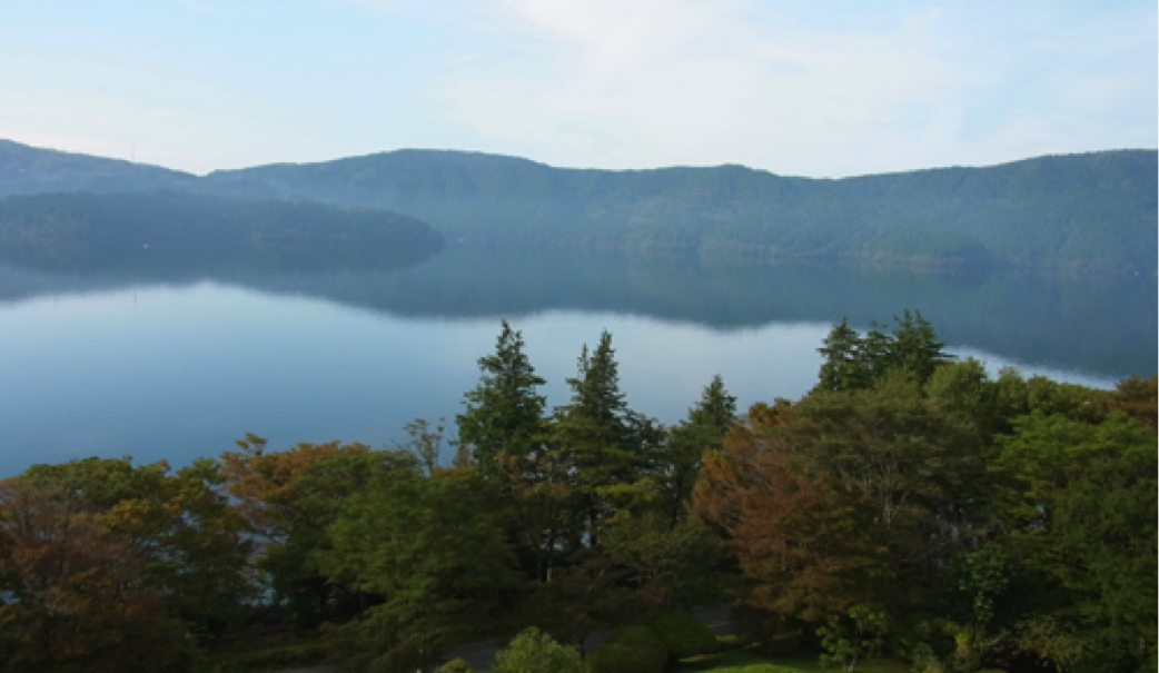 篠塚建次郎 2011年の活動