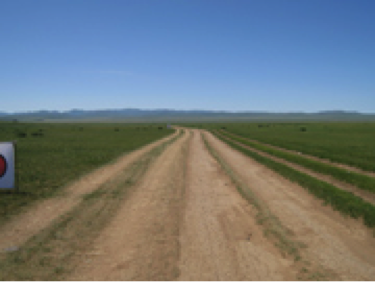 篠塚建次郎 2011年の活動